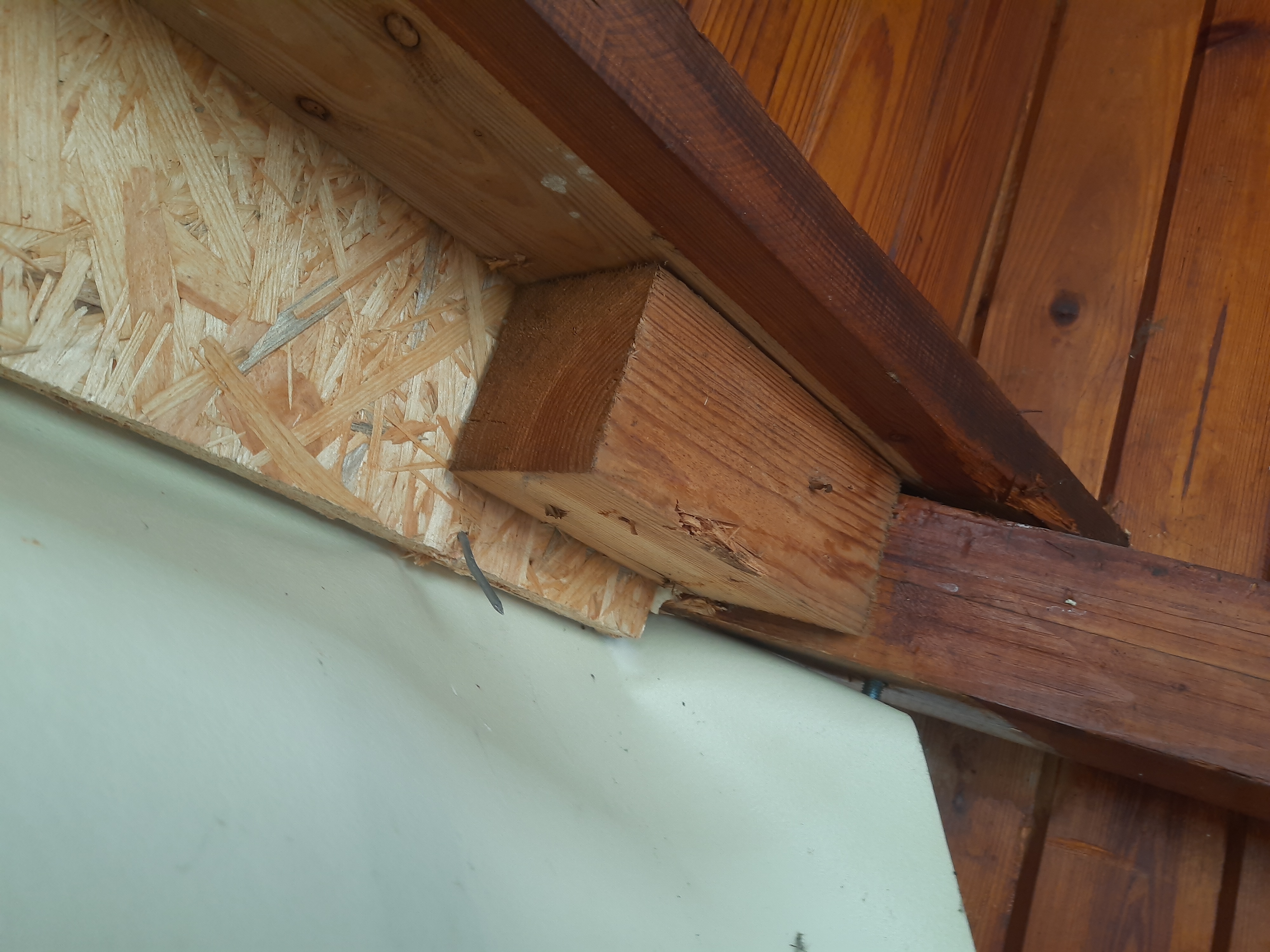 Źródło α – łódeczka złożona