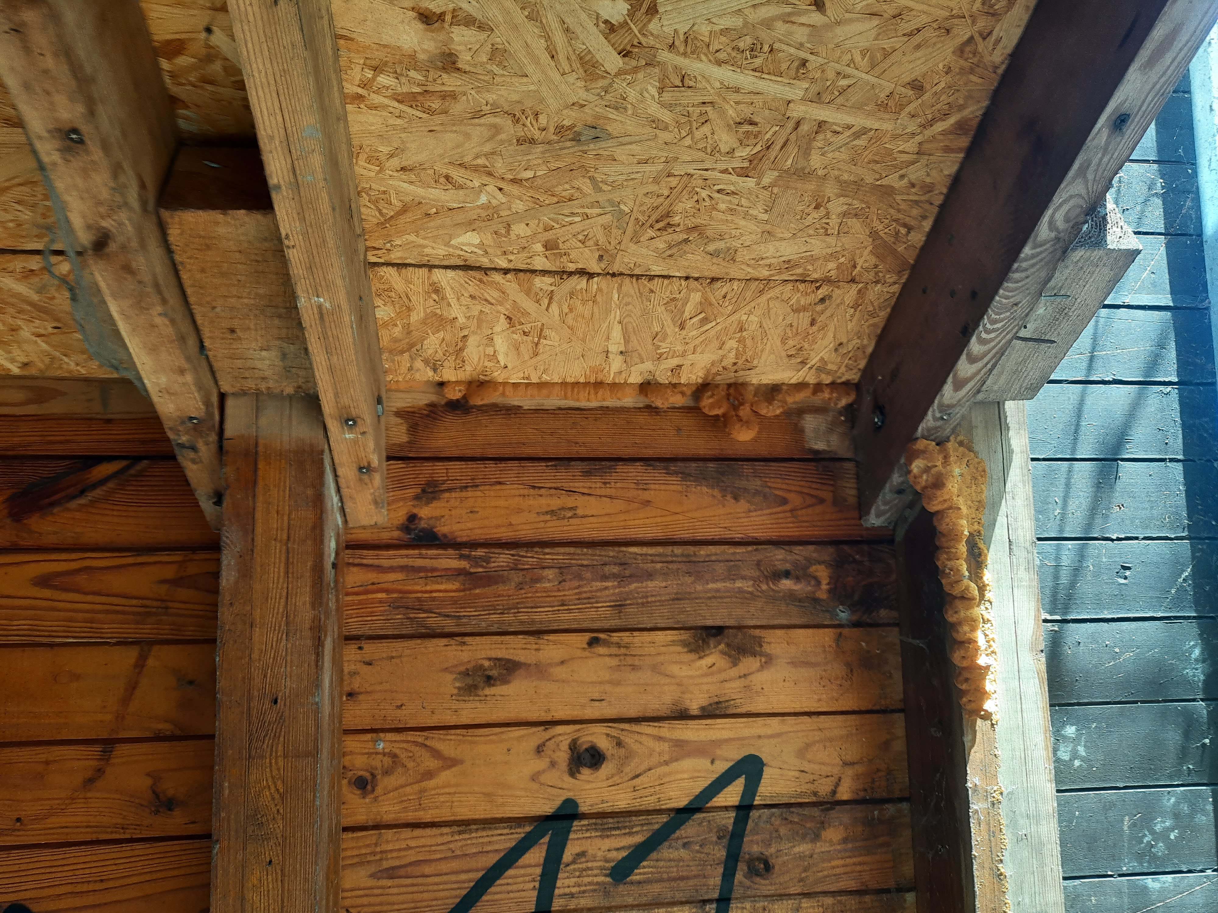 Źródło α – łódeczki bez listewek