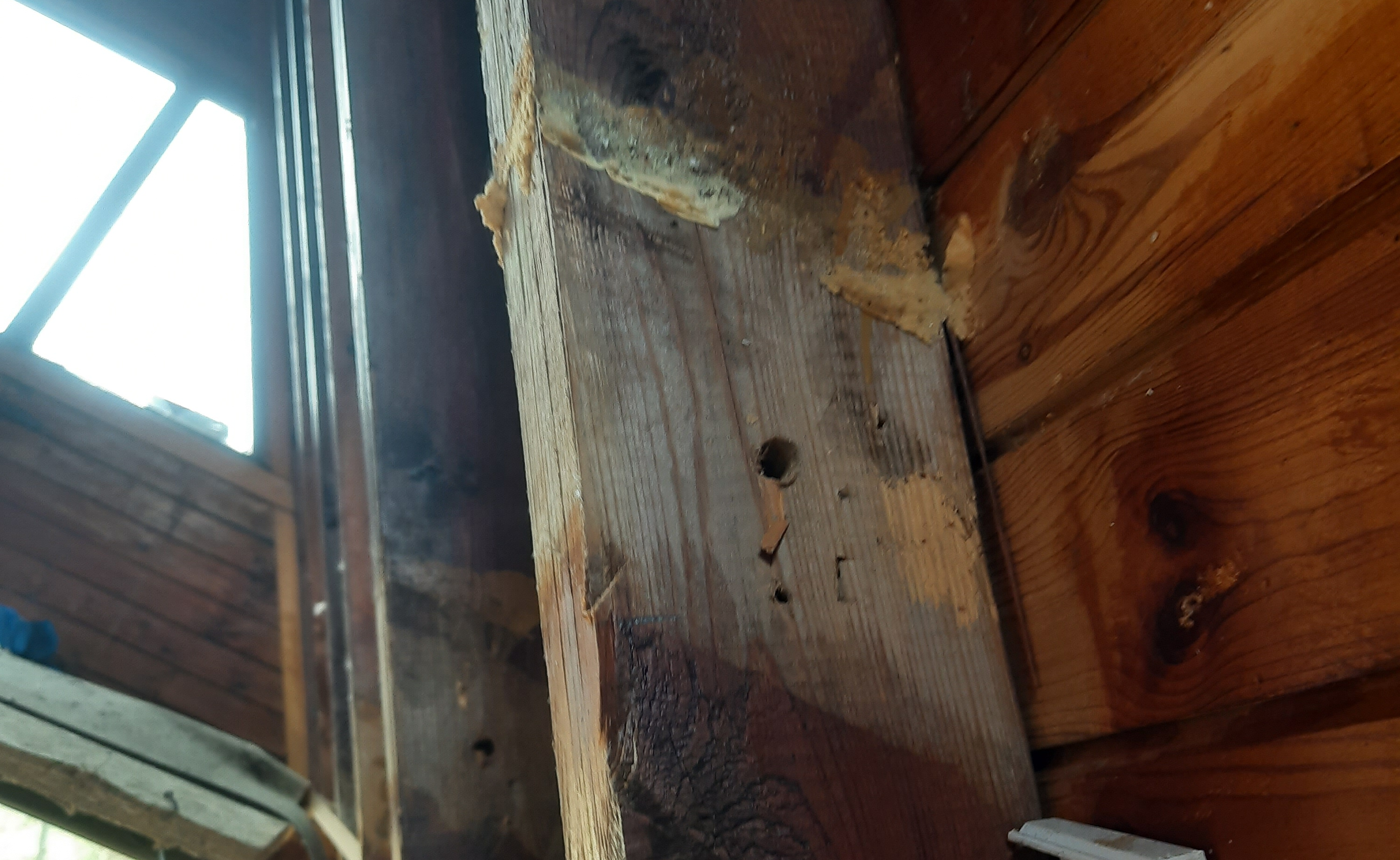 Źródło α – łączenie krokwi z jętkami